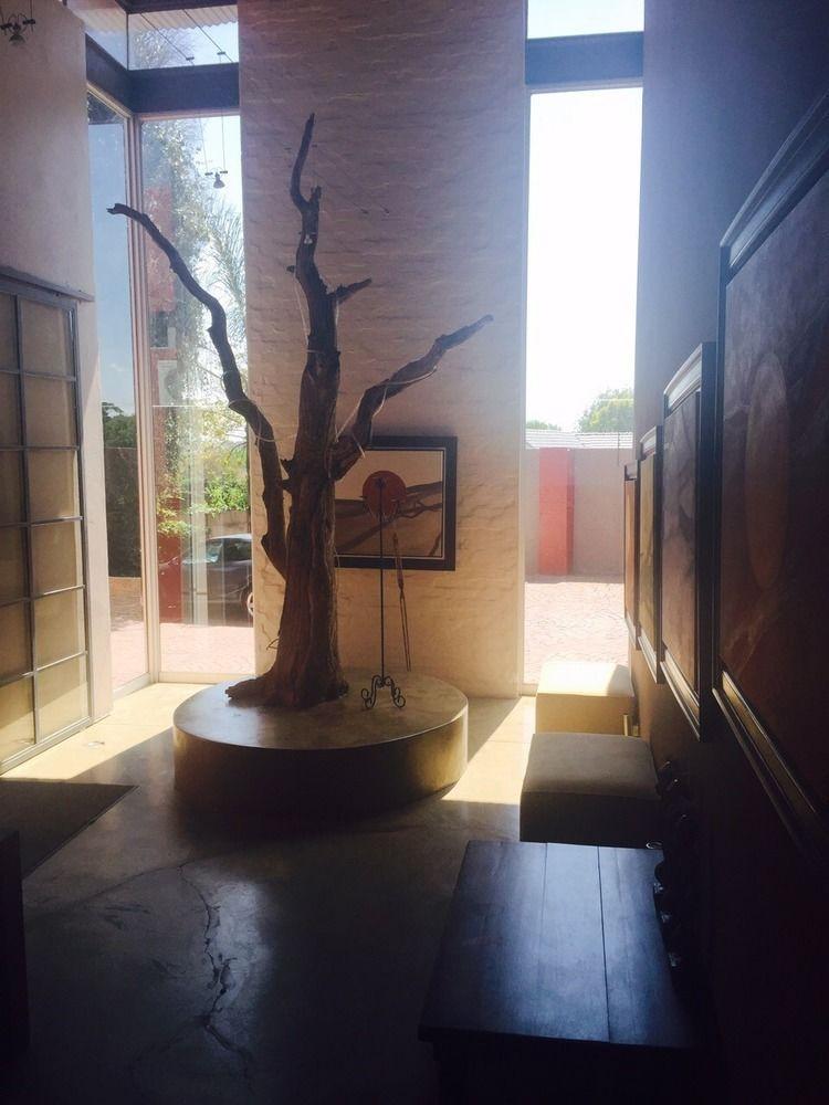 קמפטון פארק African Moon Corporate House מראה חיצוני תמונה